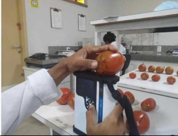 fapeg-impulsiona-criacao-da-certificacao-digital-de-produtos-agricolas