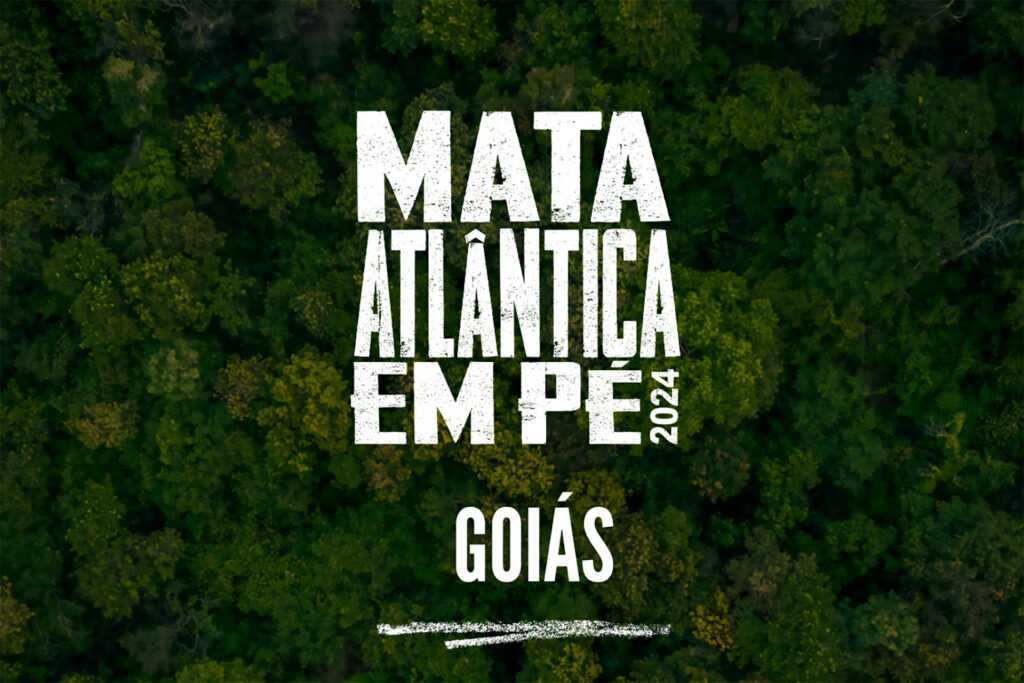 7a-edicao-da-operacao-mata-atlantica-em-pe-acontece-em-17-estados-para-combater-o-desmatamento