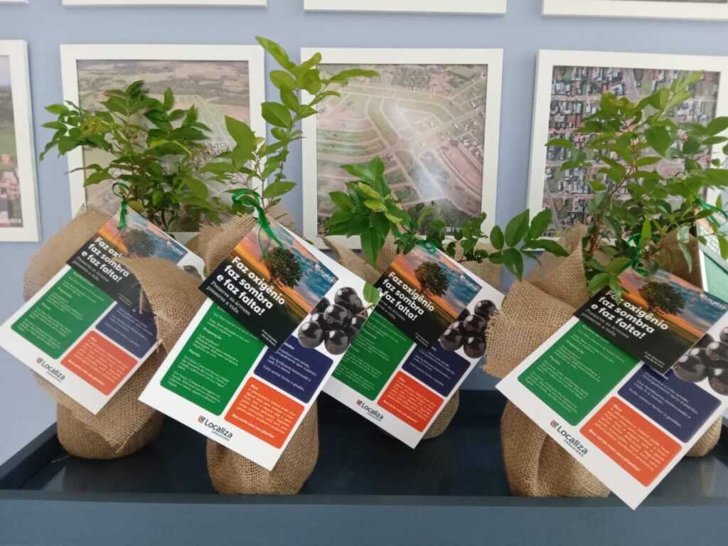 acao-de-empresa-incentiva-tradicao-dos-pes-de-jabuticabas-em-quintais-das-casas