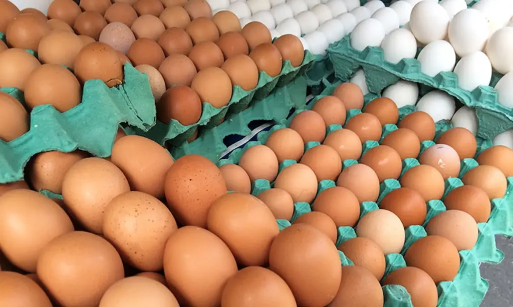 ovos-de-granja-com-caso-de-gripe-estao-rastreados,-diz-mapa