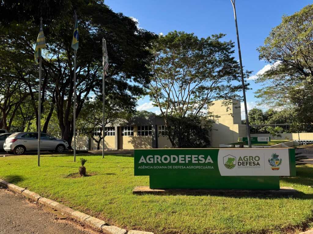 agrodefesa-confirma-primeiro-caso-de-gripe-aviaria-em-aves-de-subsistencia-em-goias