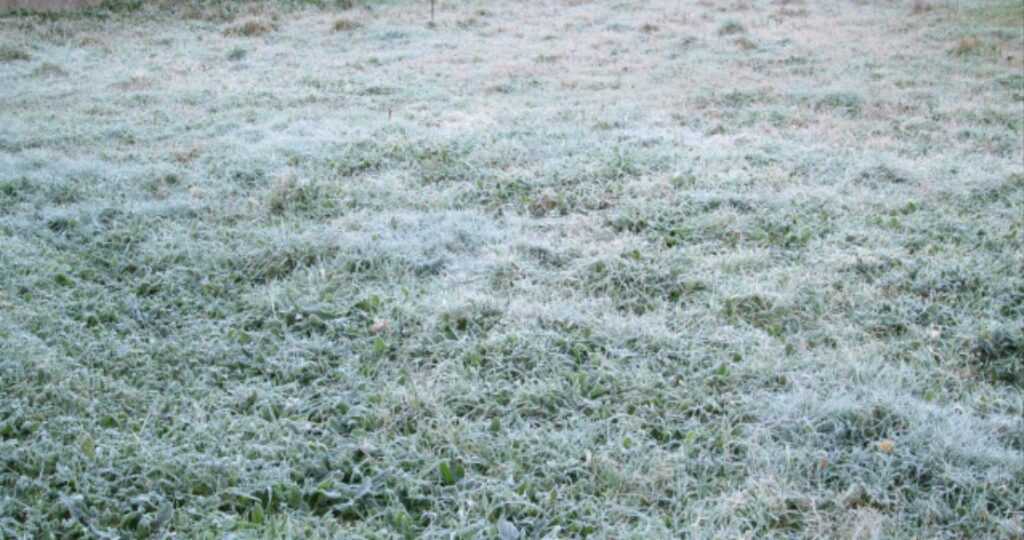goias-tem-alerta-para-baixas-temperaturas-e-ate-geada