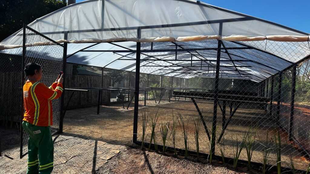 comurg-amplia-capacidade-de-producao-de-plantas-ornamentais