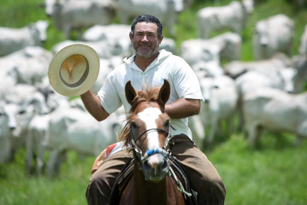 setor-agropecuario-em-goias-registra-alta-de-6,4%-nas-admissoes