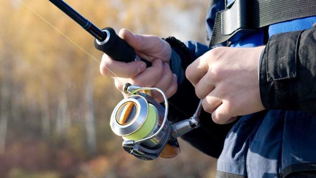 como-escolher-a-melhor-isca?-veja-esta-e-outras-dicas-para-uma-pescaria-de-sucesso