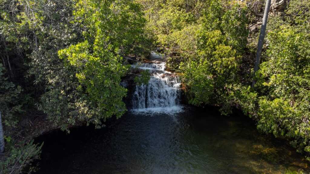 cerrado-em-pe:-goias-remunera-produtores-rurais-que-preservam-bioma