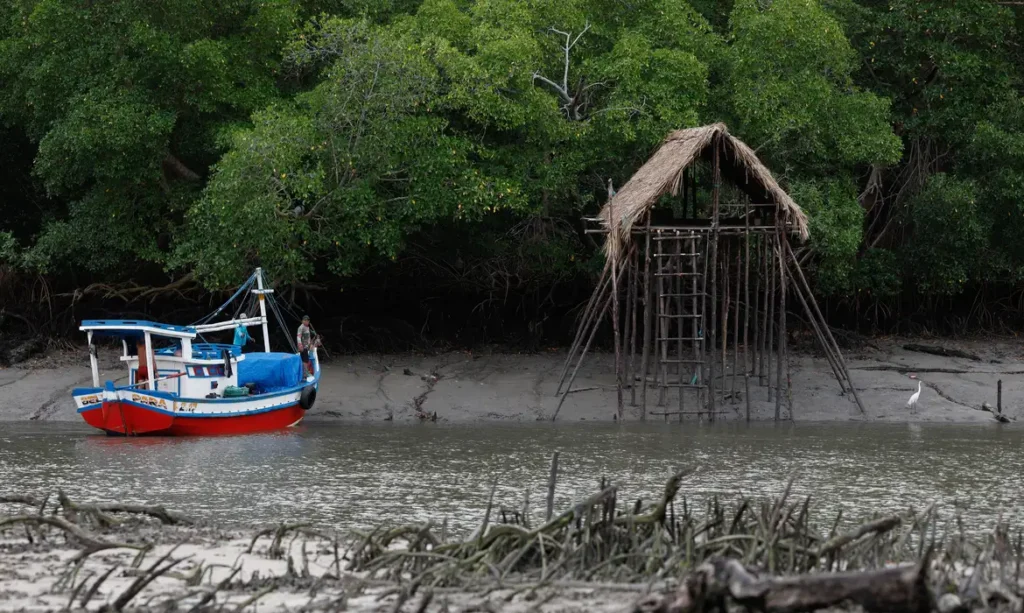cop-30-coloca-amazonia-e-sustentabilidade-no-centro-do-debate