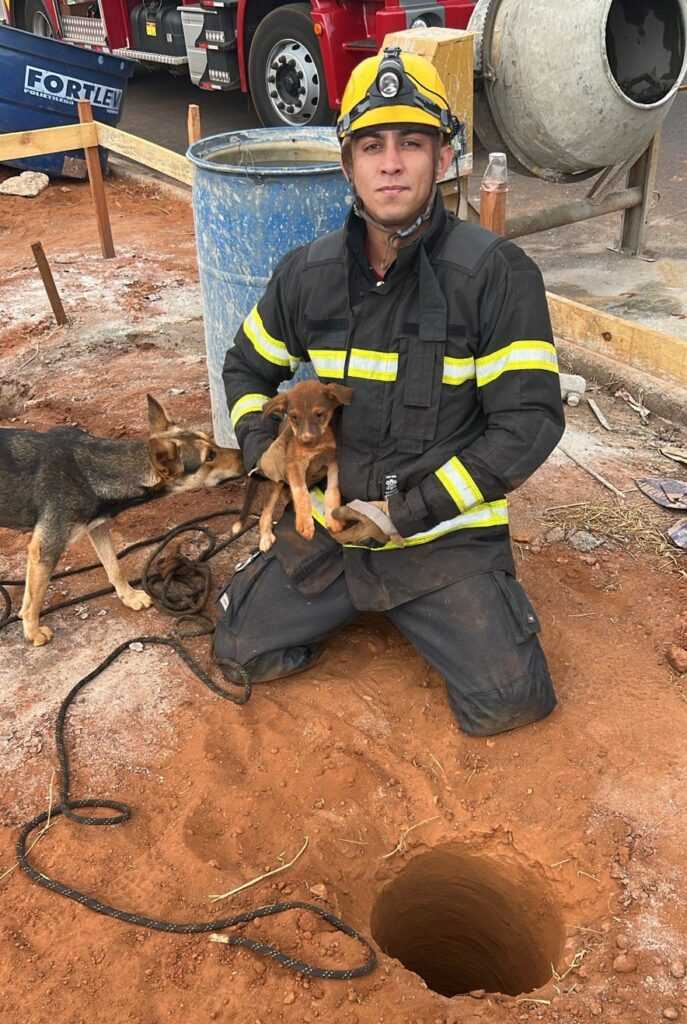 bombeiros-resgatam-caes-que-cairam-em-buracos-de-obra