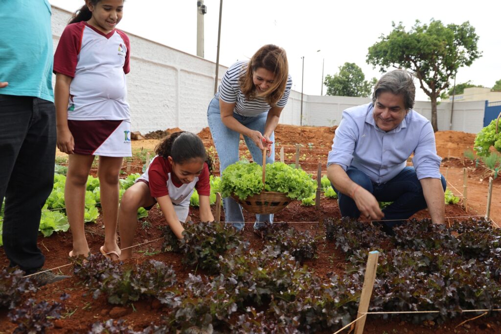 primeira-colheita-do-projeto-agricultura-urbana-em-aparecida