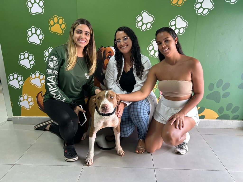 amma-de-senador-canedo-conclui-mais-uma-adocao-com-sucesso