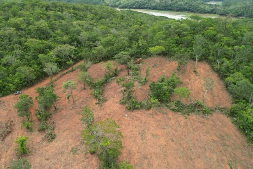 area-desmatada-em-goias-e-a-menor-da-historia,-diz-inpe