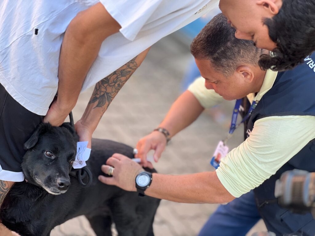 prefeitura-de-goiania-reforca-vacinacao-antirrabica-em-dois-pontos-da-capital-neste-sabado-(8/11)