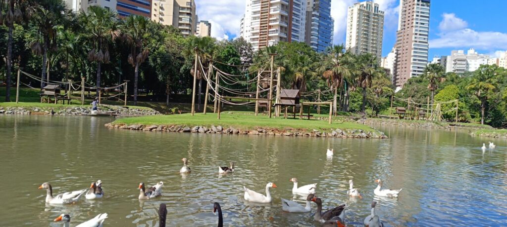 segunda-feira-sera-de-sol,-com-possibilidade-de-chuvas