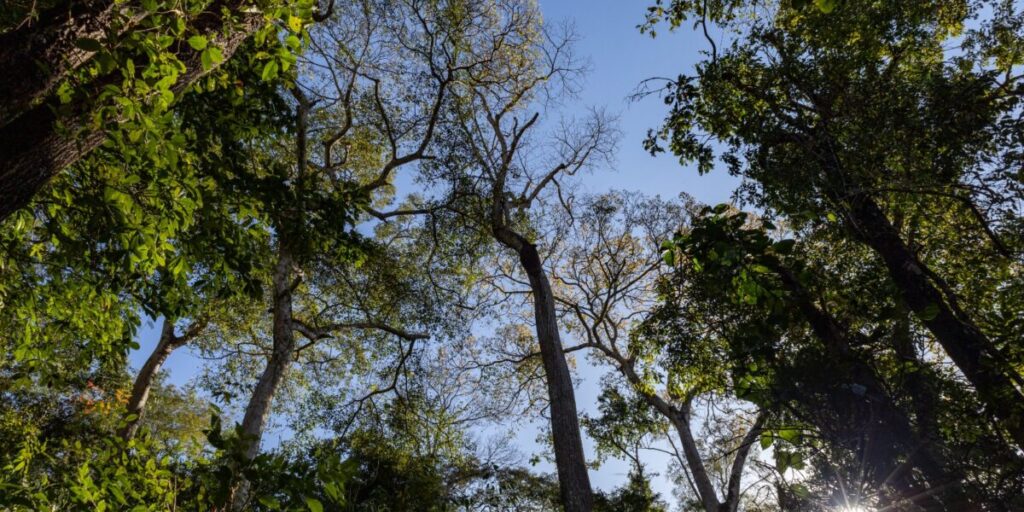 programa-quer-ampliar-participacao-social-nas-unidades-de-conservacao
