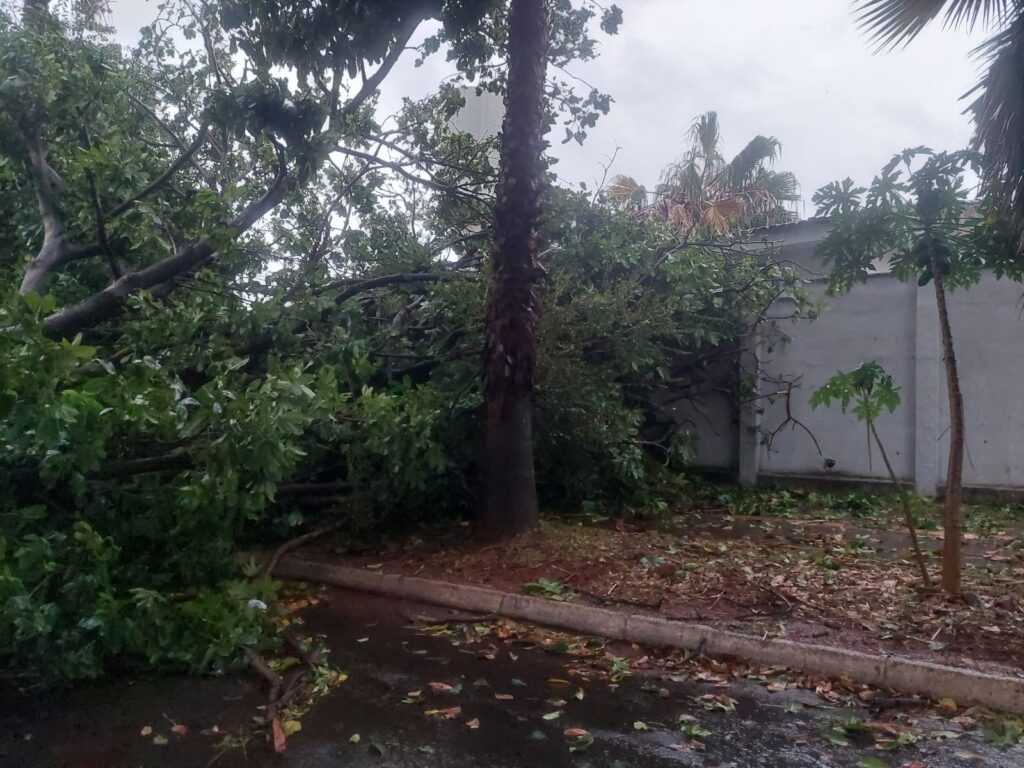 mais-de-180-cidades-em-goias-podem-ser-atingidas-por-temporal-nesta-quarta-feira-(10)