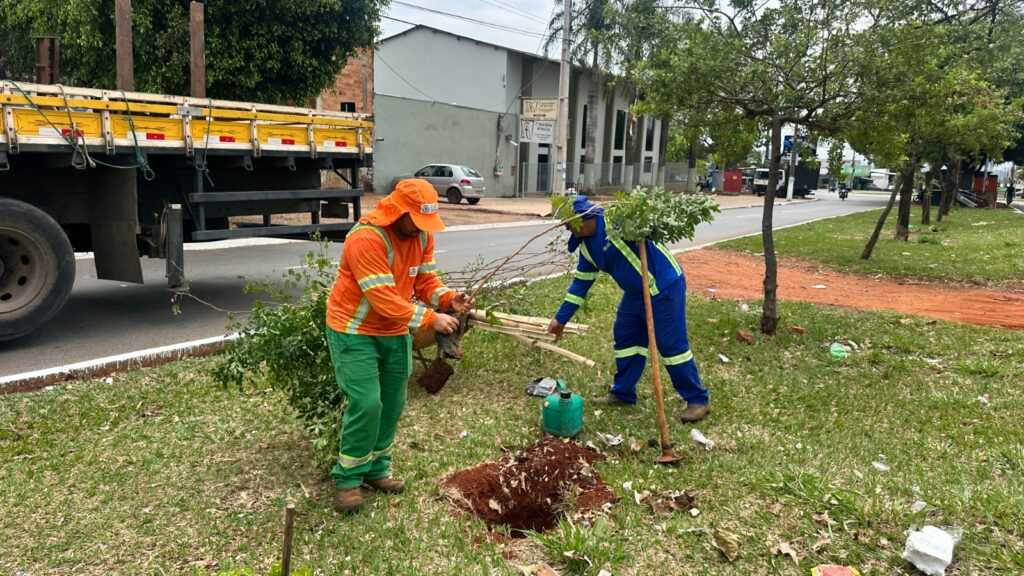 comurg-projeta-o-plantio-de-6-mil-novas-arvores-ate-abril-de-2026