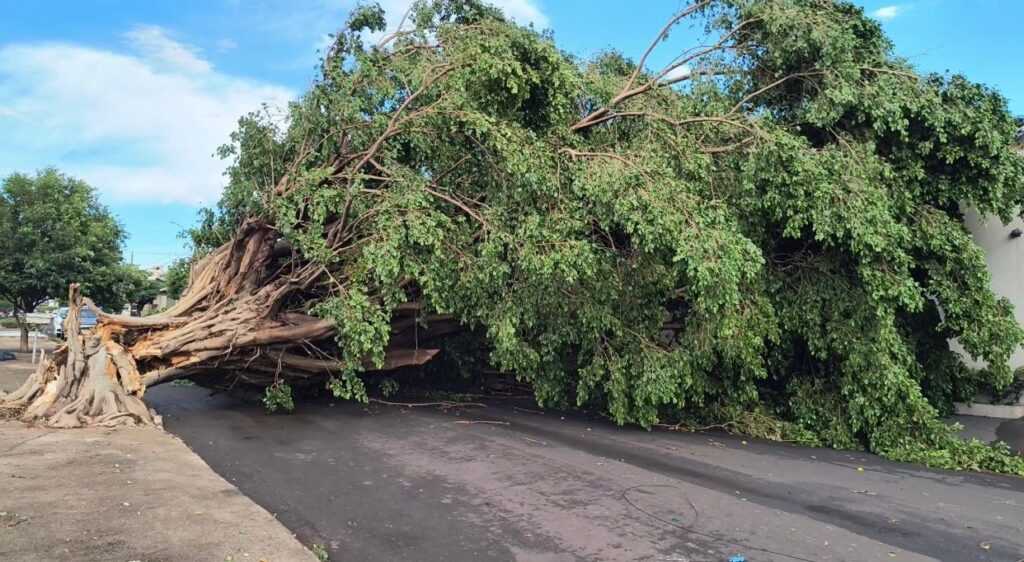 equatorial-goias-alerta-para-possivel-temporal-em-mais-de-190-municipios-nesta-terca-feira-(30)