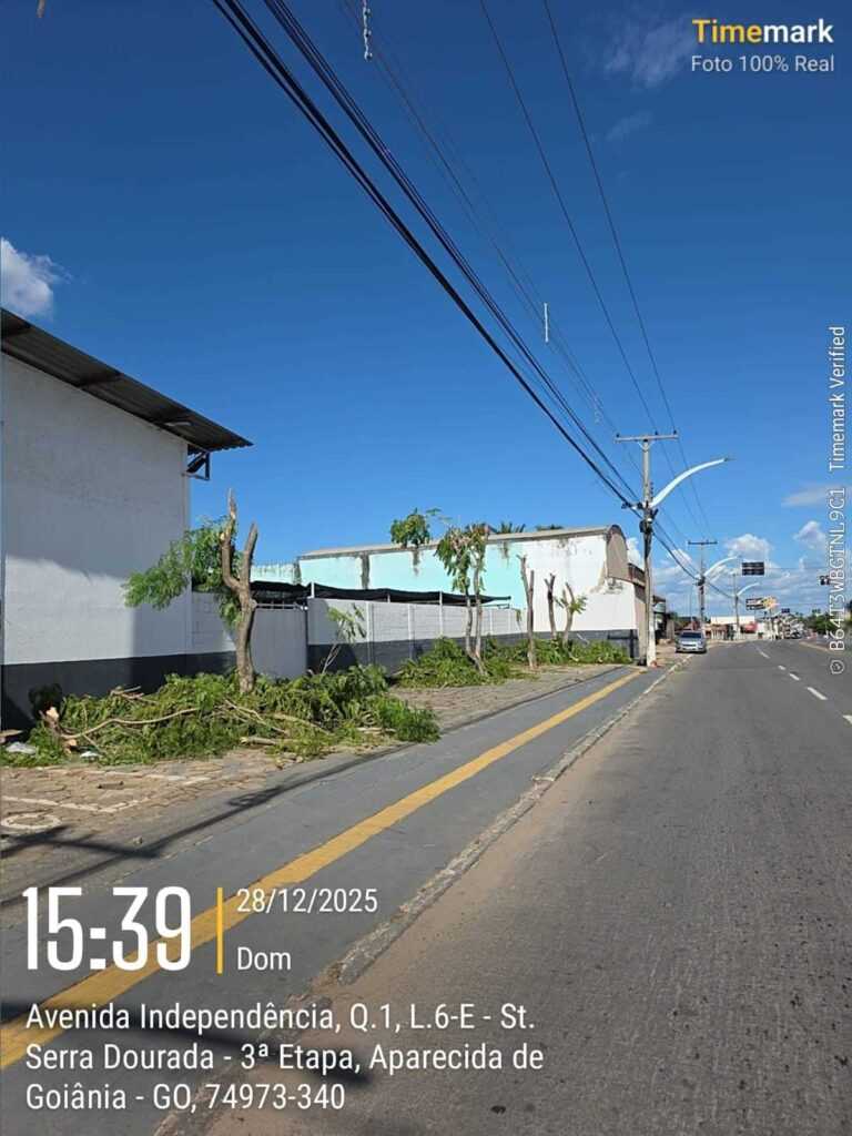 prefeitura-apreende-caminhoes-da-equatorial-que-mutilava-arvores-em-aparecida