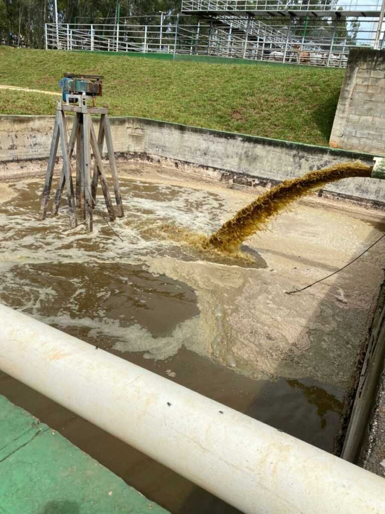 policia-interdita-frigorifico-de-inhumas-por-poluicao-ambiental