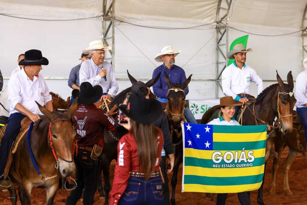 seguranca-e-tradicao-marcam-encontro-de-muladeiros-de-ipora