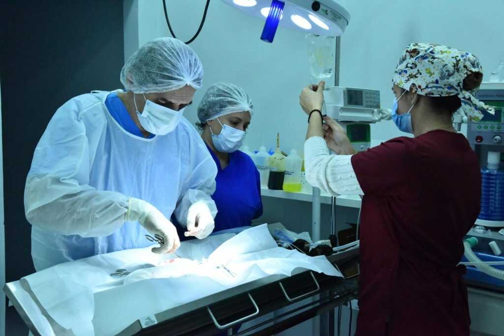 prefeitura-leva-centro-de-castracao-pata-a-assentamento-em-aparecida