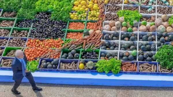 governo-anuncia-r$-450-milhoes-para-fortalecer-producao-de-leite-da-agricultura-familiar