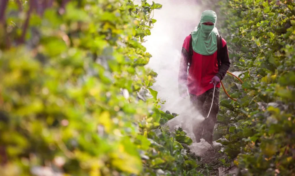 bayer-escolhe-brasil-para-lancar-complemento-ao-agrotoxico-mais-polemico-do-mundo