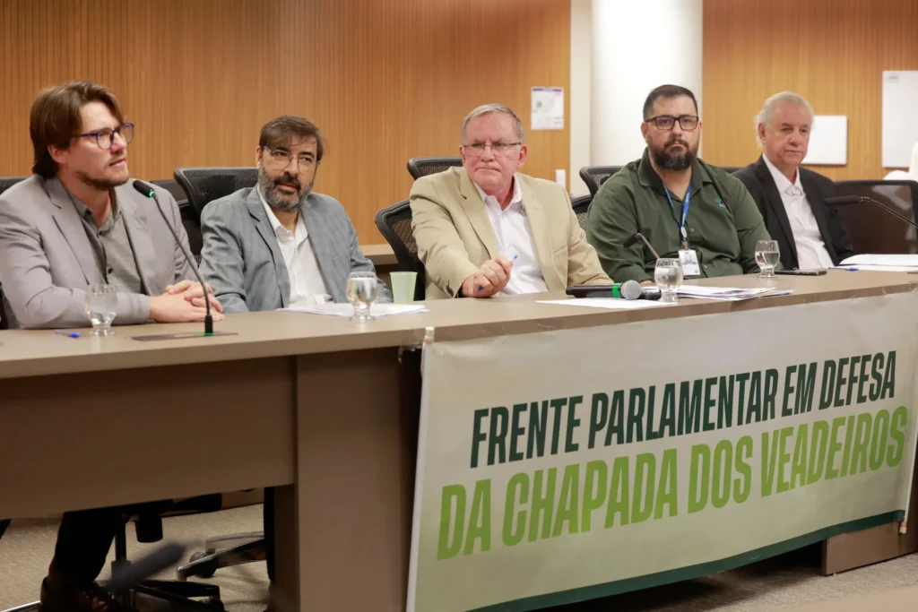 Audiência pública discute mineração na Chapada dos Veadeiros audiencia-publica-discute-mineracao-na-chapada-dos-veadeiros