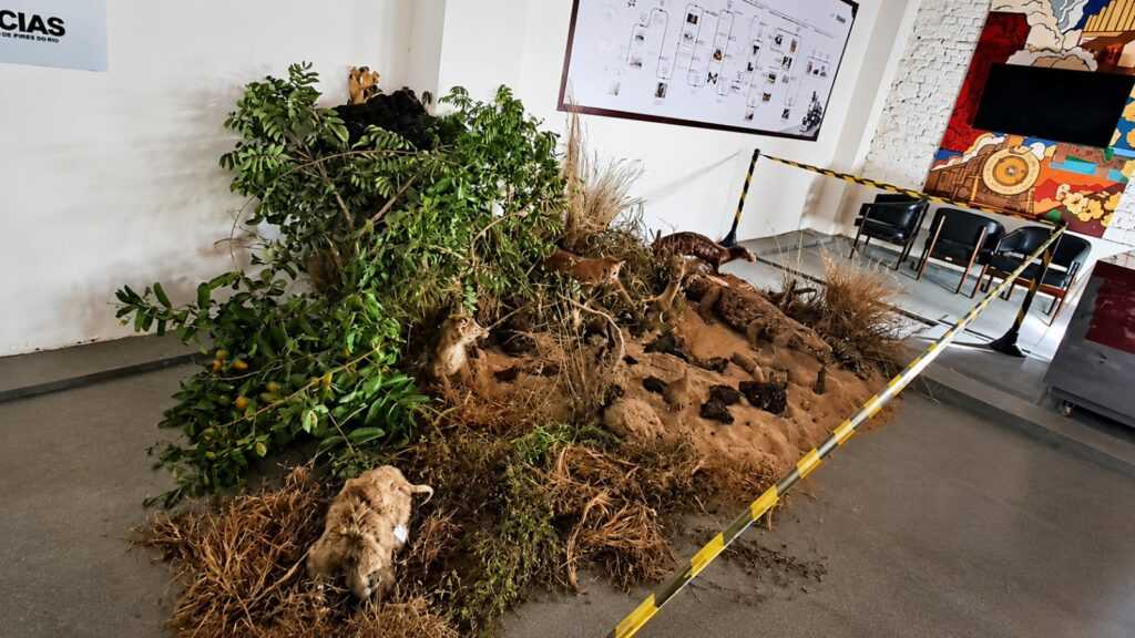 Mostra no Museu Ferroviário de Pires do Rio incentiva conscientização ambiental mostra-no-museu-ferroviario-de-pires-do-rio-incentiva-conscientizacao-ambiental