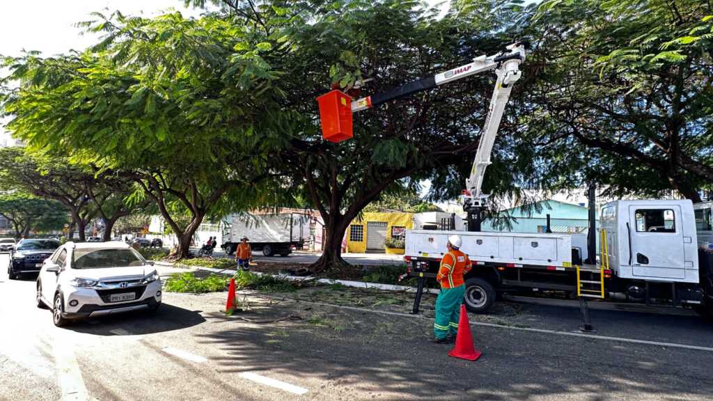 comurg-realiza-poda-preventiva-em-17-bairros-das-regioes-oeste-e-sudoeste