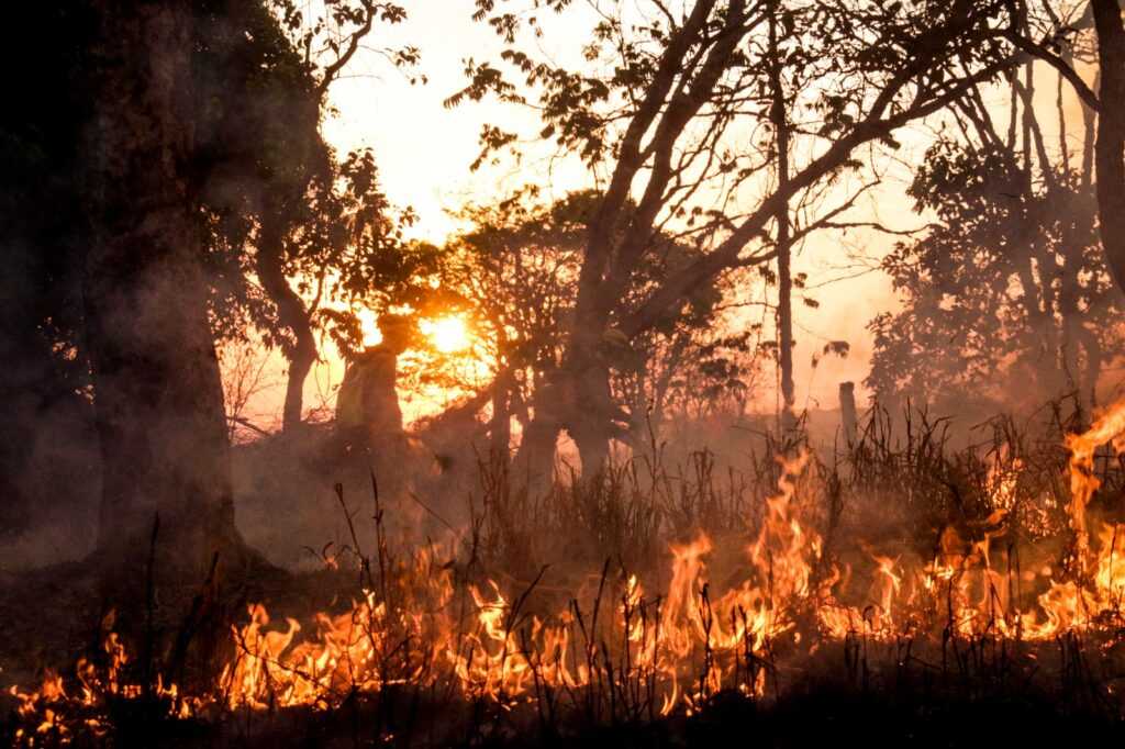 Uso de fogo fica suspenso também em regiões urbanas até 31 de outubtro uso-de-fogo-esta-suspenso-tambem-em-areas-urbanas-ate-31-de-outubtro