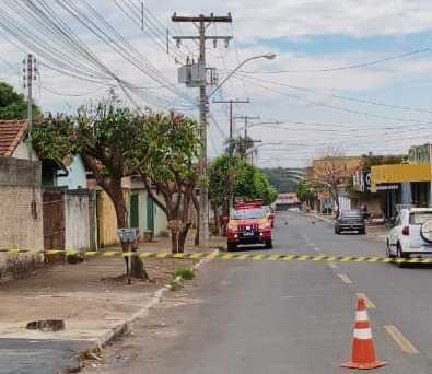 Enxame de abelhas invade quarteirão, força evacuação de igreja e mata cão em Caldas Novas enxame-de-abelhas-invade-quarteirao,-forca-evacuacao-de-igreja-e-mata-cao-em-caldas-novas