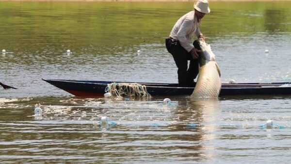 piracema-comeca-em-1o-de-novembro-em-goias-e-restringe-pesca-em-tres-bacias
